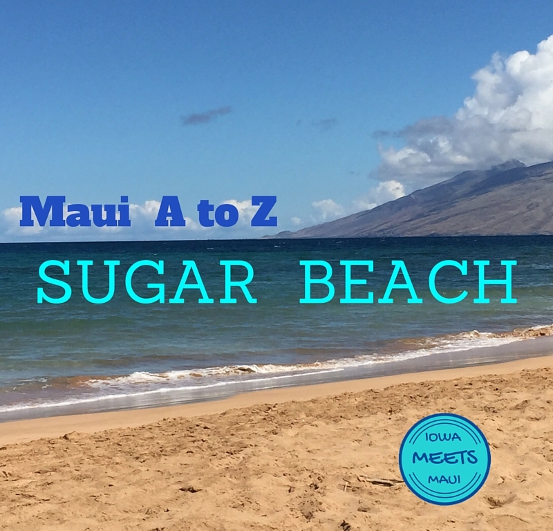 A to Z Cover Sugar Beach